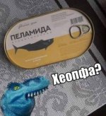 1732349260.jpg