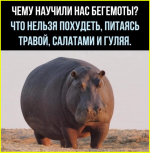 image (3704).png