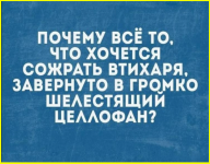 image (3707).png