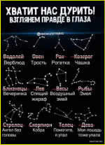 image (3698).png