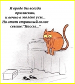 image (4534).png