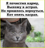 image (4536).png