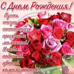 1733028933225.png