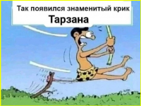 image (4628).png