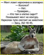 image (136).png