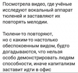 1733103977383.png