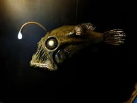IMG_3138.jpeg