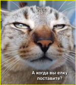 image (202).png