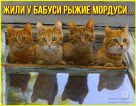 image (304).png