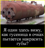image (5079).png