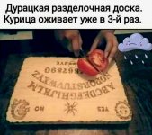 IMG_20241222_225525_409.jpg