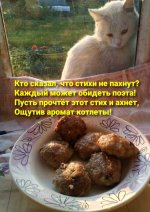 Стихи.jpg