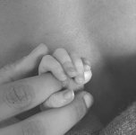 IMG_7946.jpeg