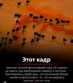 IMG_8969.jpeg