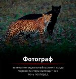 IMG_8972.jpeg