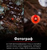 IMG_8971.jpeg