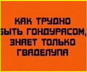 image (4862).png