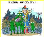 image (5311).png
