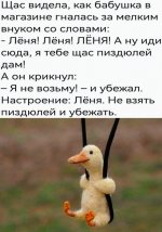 IMG_9135.jpeg