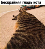 image (5649).png