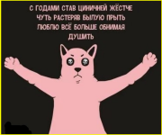 image (5645).png