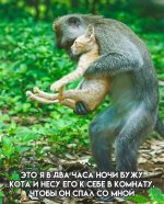 IMG_9215.jpeg