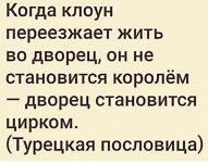IMG_5129.jpeg