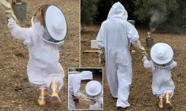 www.dailymail.co.uk