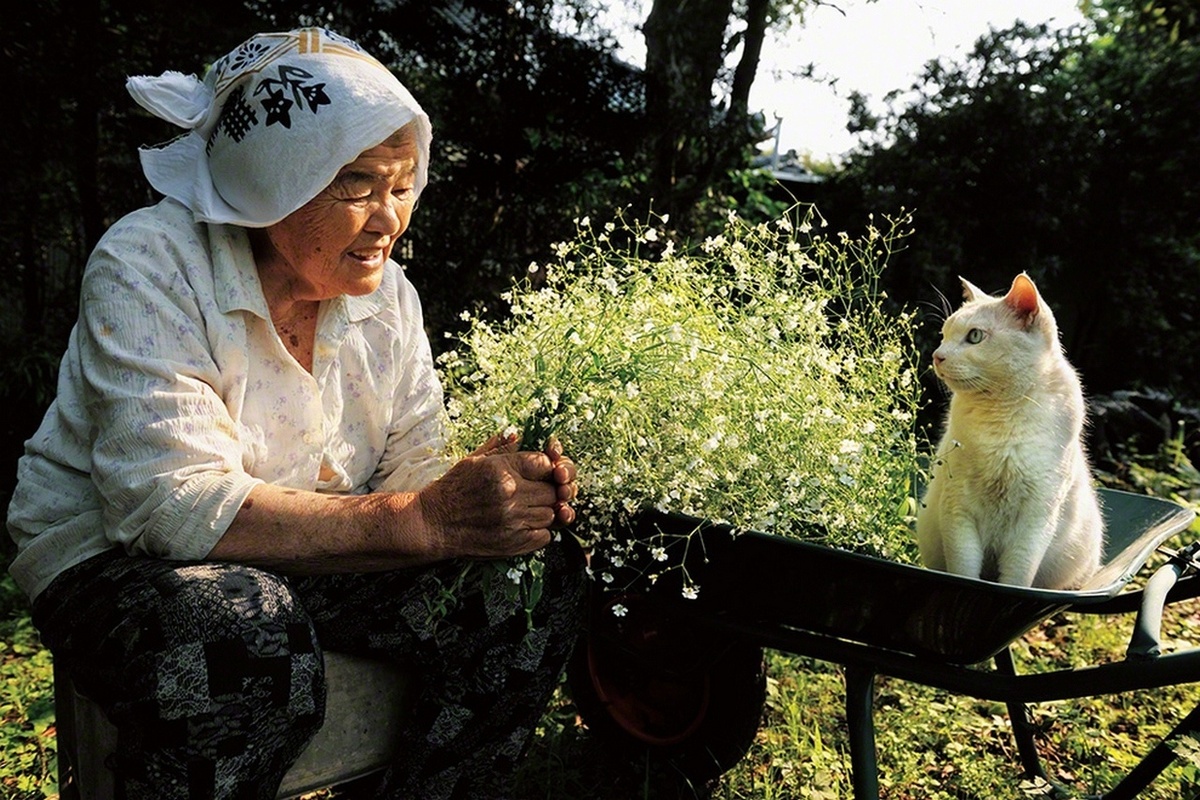  75-летняя Мисао нашла белоснежного котёнка с разноцветными глазами в сарае. Он родился от бездомной кошки. Бабушка приютила котёнка, и с тех пор они стали неразлучными.-4
