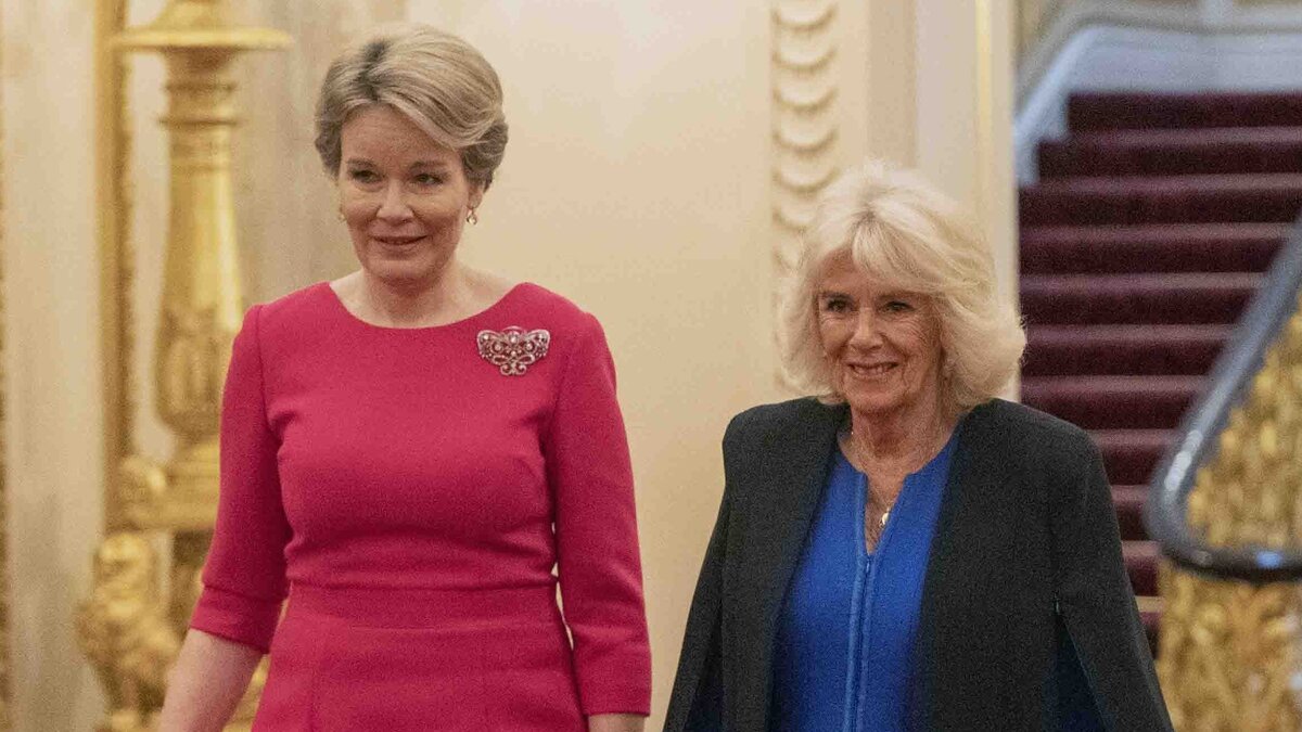 Сегодня в Букингемском дворце состоялся приём в честь фонда WOWisGlobal  - Женщины мира. Гостьей стала королева Бельгии - Матильда ( Она самая высокая из дам).-3
