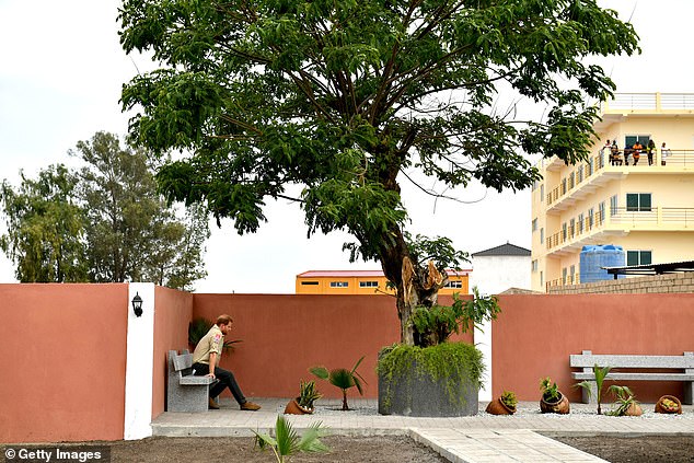 Harry is pictured sitting beneath the Diana Tree in Huambo, which marks the spot where she was photographed in 1997