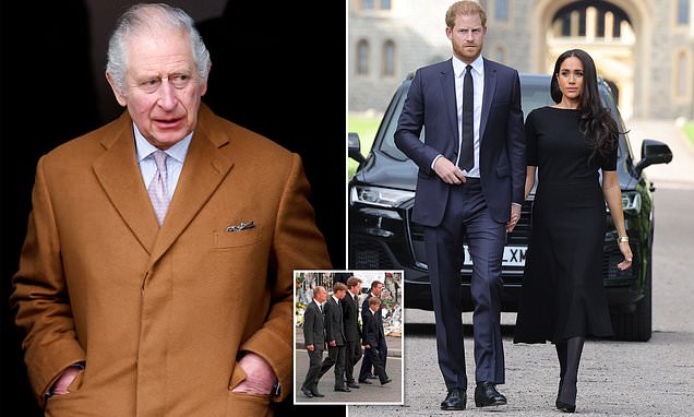 www.dailymail.co.uk