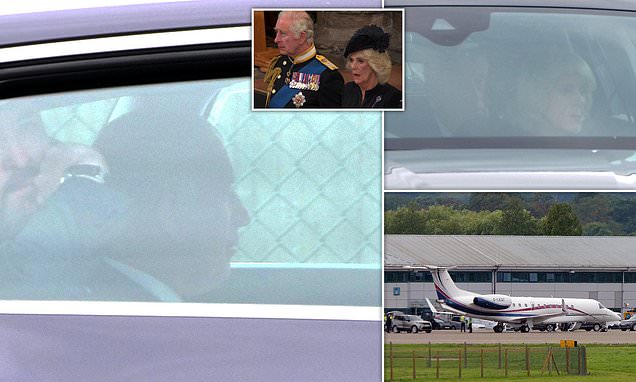 www.dailymail.co.uk