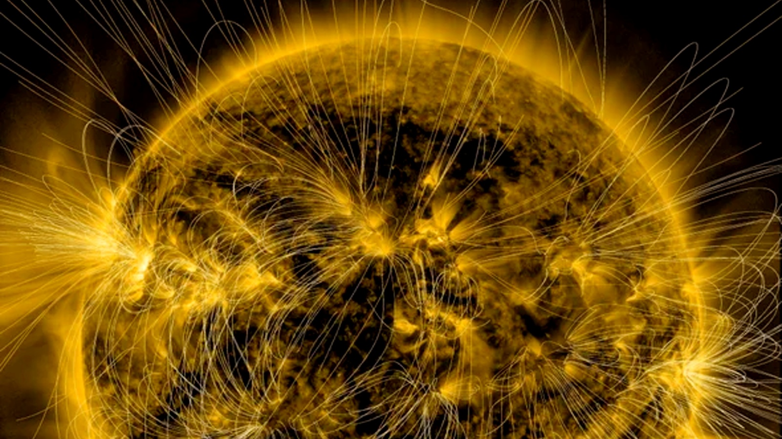 www.livescience.com