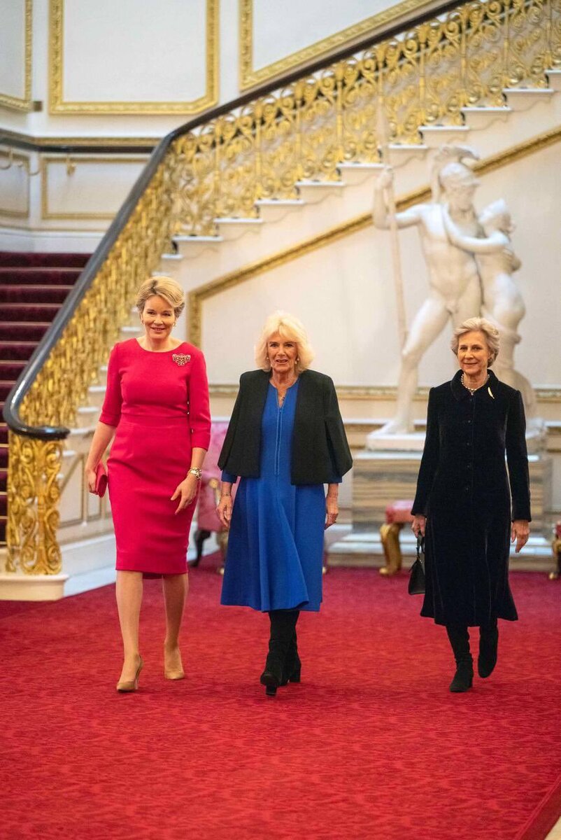Сегодня в Букингемском дворце состоялся приём в честь фонда WOWisGlobal  - Женщины мира. Гостьей стала королева Бельгии - Матильда ( Она самая высокая из дам).