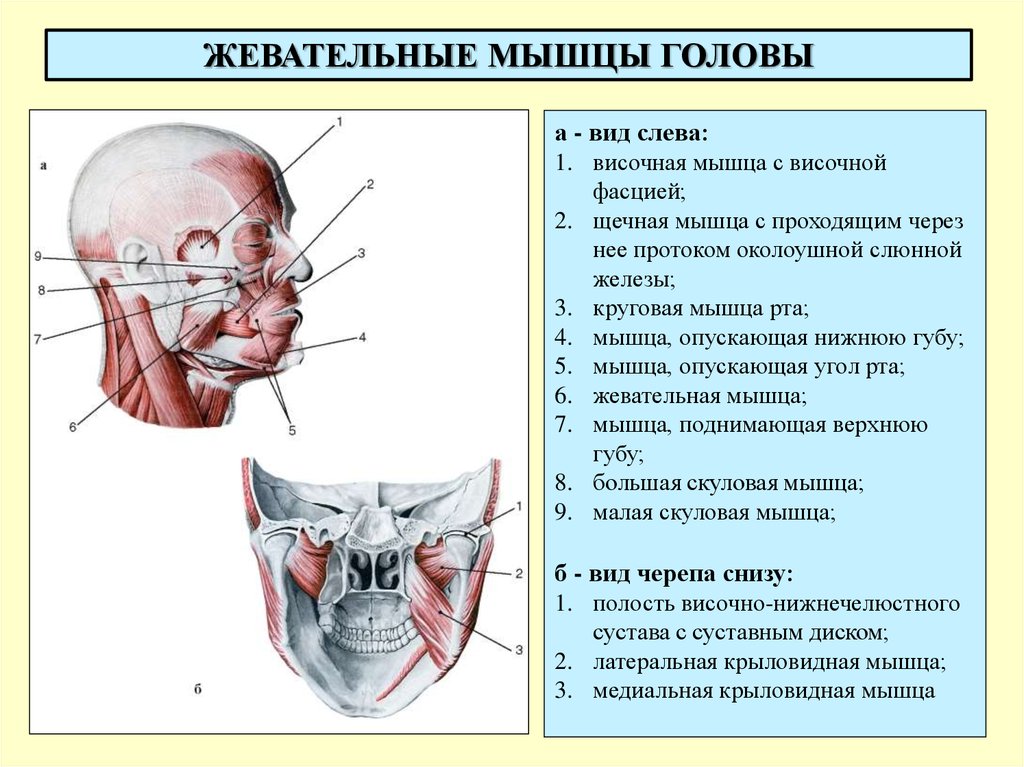 slide-28.jpg