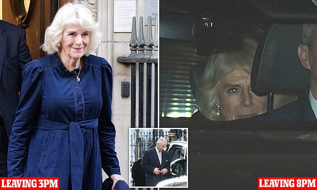 www.dailymail.co.uk