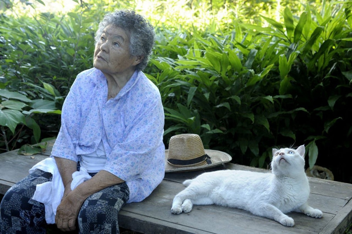  75-летняя Мисао нашла белоснежного котёнка с разноцветными глазами в сарае. Он родился от бездомной кошки. Бабушка приютила котёнка, и с тех пор они стали неразлучными.-33