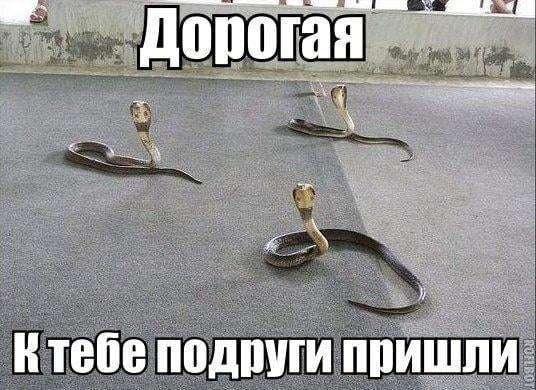 «»