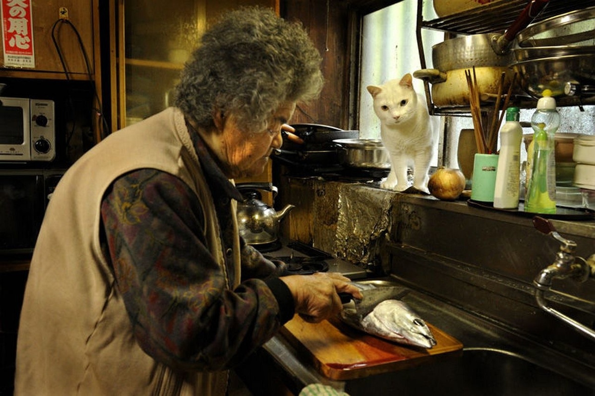  75-летняя Мисао нашла белоснежного котёнка с разноцветными глазами в сарае. Он родился от бездомной кошки. Бабушка приютила котёнка, и с тех пор они стали неразлучными.-12