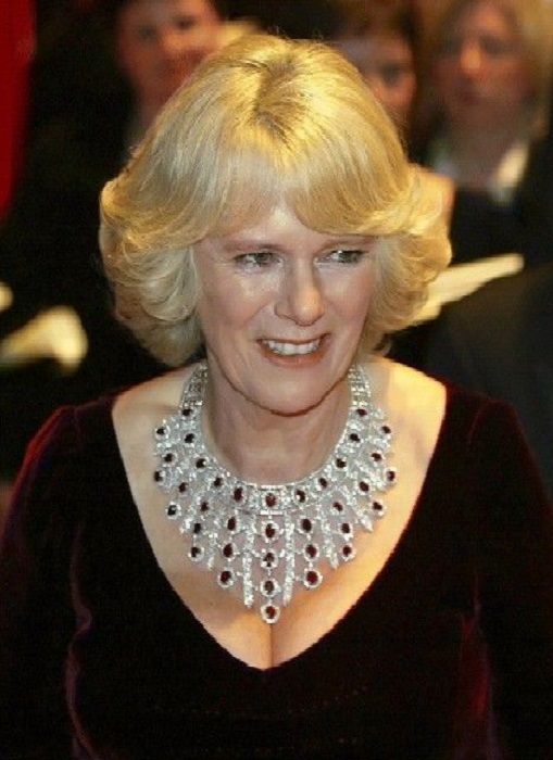 219467878.jpg