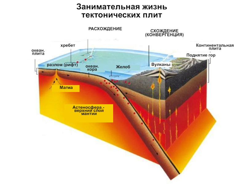 814978_800.png
