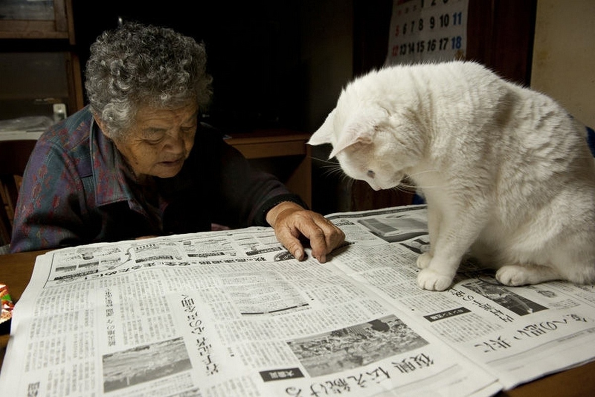  75-летняя Мисао нашла белоснежного котёнка с разноцветными глазами в сарае. Он родился от бездомной кошки. Бабушка приютила котёнка, и с тех пор они стали неразлучными.-14