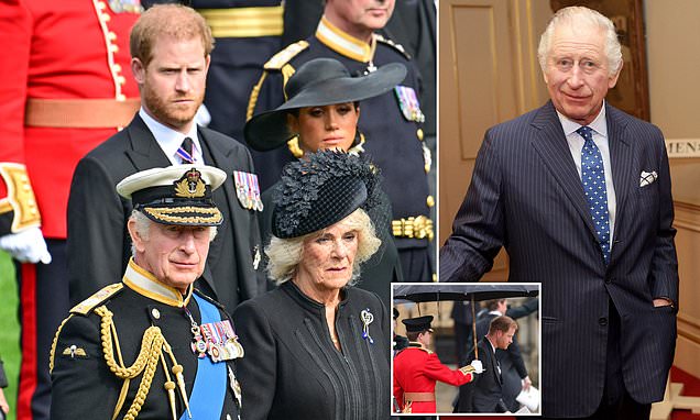 www.dailymail.co.uk