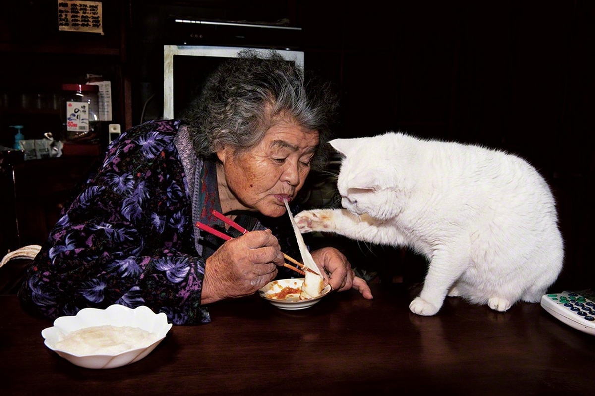  75-летняя Мисао нашла белоснежного котёнка с разноцветными глазами в сарае. Он родился от бездомной кошки. Бабушка приютила котёнка, и с тех пор они стали неразлучными.-22