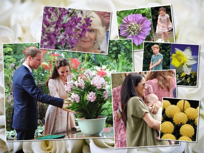 www.baby.ru