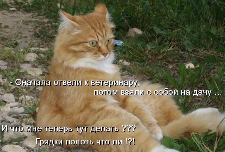 ZoRNDPK498o.jpg