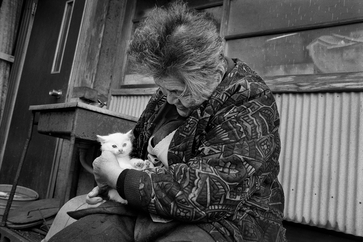  75-летняя Мисао нашла белоснежного котёнка с разноцветными глазами в сарае. Он родился от бездомной кошки. Бабушка приютила котёнка, и с тех пор они стали неразлучными.-18