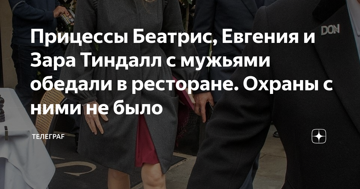 zen.yandex.ru