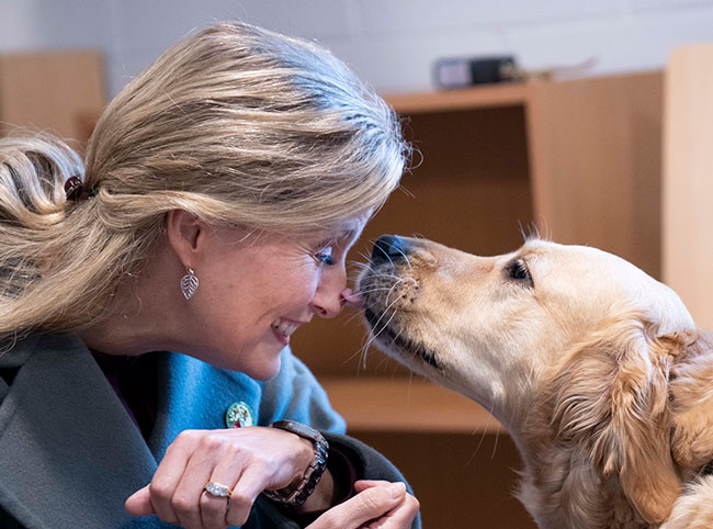 Софи, графиня Уэссекская - покровитель Национального центра собак-поводырей в Лимингтон-Спа. Фото из сети Интернет